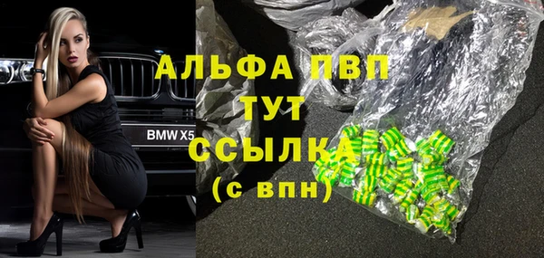 винт Лабытнанги