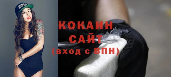 винт Лабытнанги