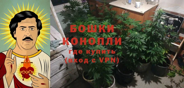 прущие крисы Ладушкин