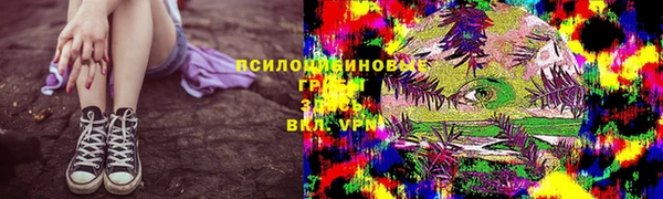 винт Лабытнанги